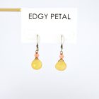 Orange Crush Earrings - Image 2